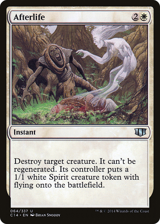 Afterlife (C14-064)