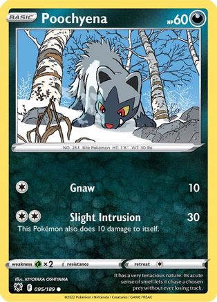 Poochyena (ASR-095) (Reverse Holofoil)