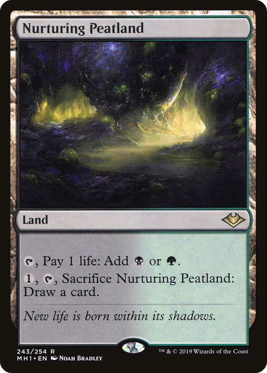 Nurturing Peatland (MH1-243)