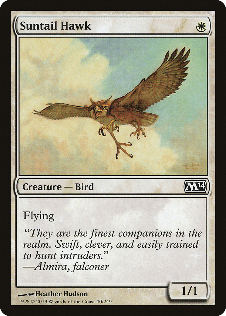 Suntail Hawk (M14-040)