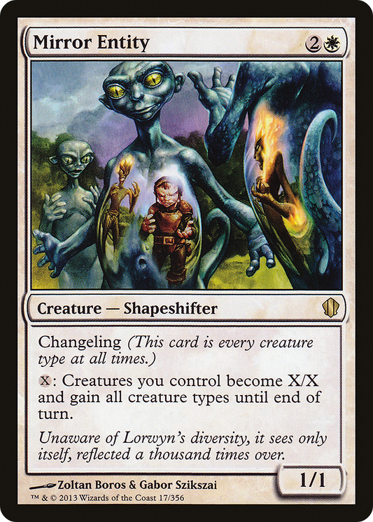 Mirror Entity (C13-017)