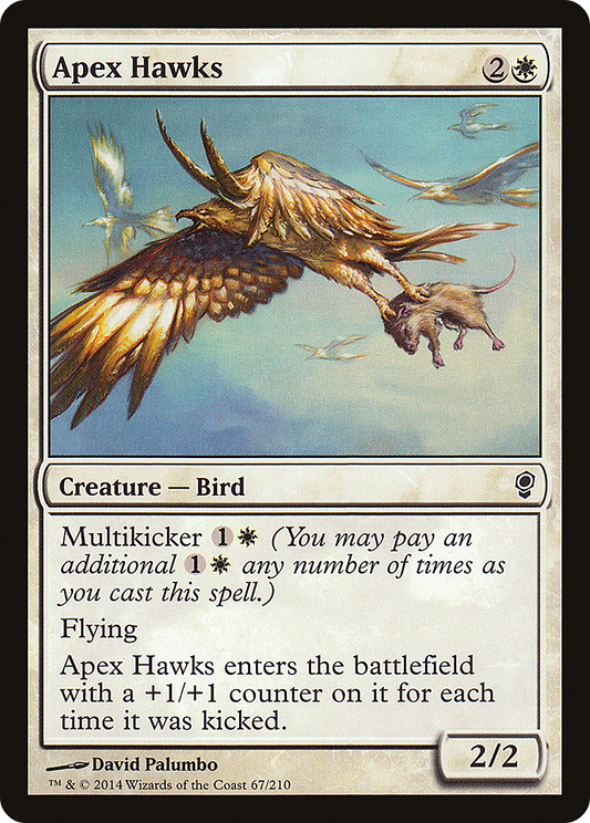 Apex Hawks (CNS-067)