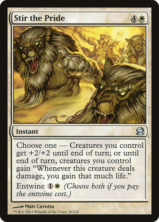 Stir the Pride (MMA-030)