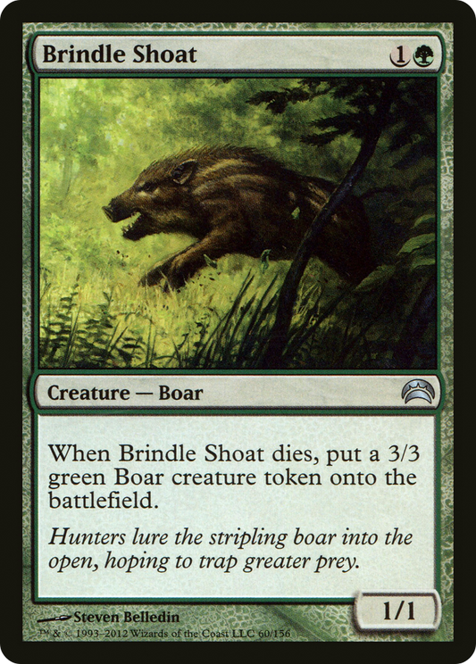 Brindle Shoat (PC2-060)