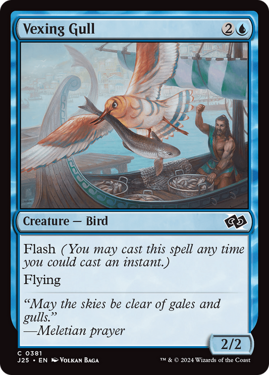 Vexing Gull (J25-381)