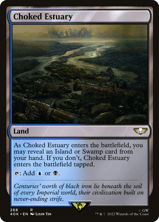 Choked Estuary (40K-268)