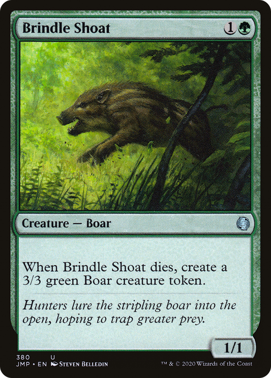 Brindle Shoat (JMP-380)