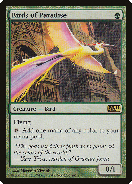 Birds of Paradise (M11-165)