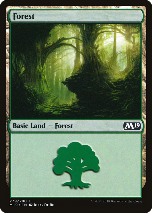 Forest (M19-279)