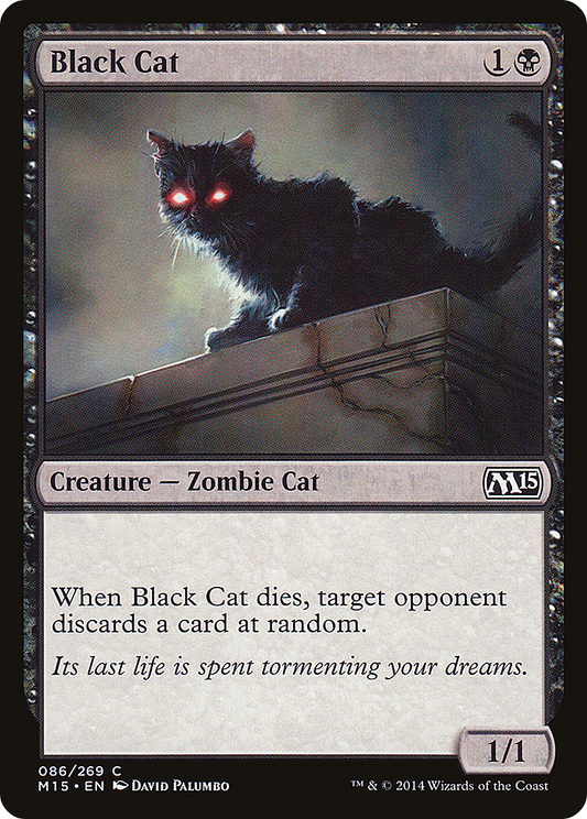 Black Cat (M15-086)
