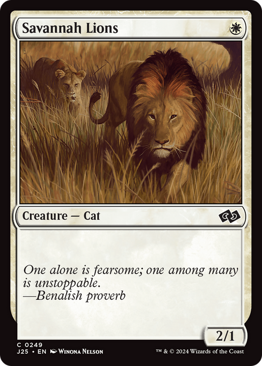 Savannah Lions (J25-249)