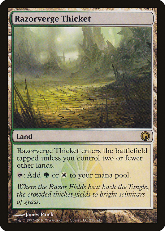 Razorverge Thicket (SOM-228) (Foil)
