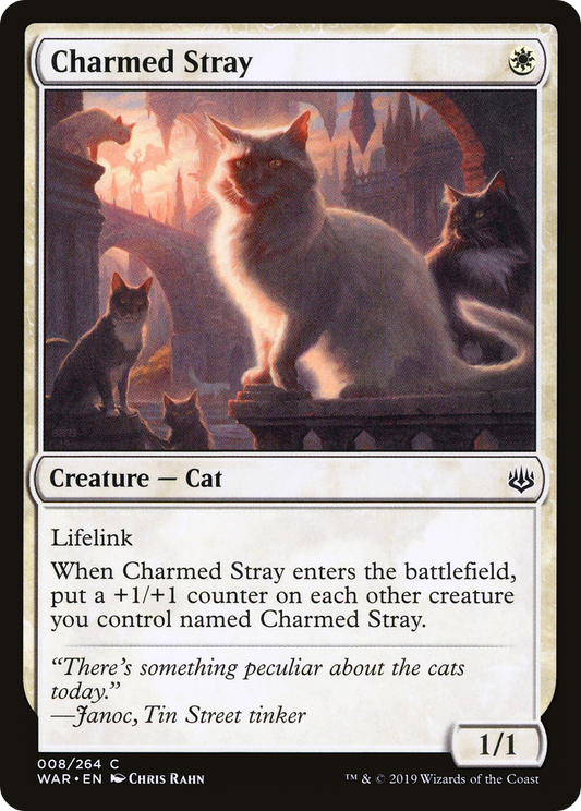 Charmed Stray (WAR-008)