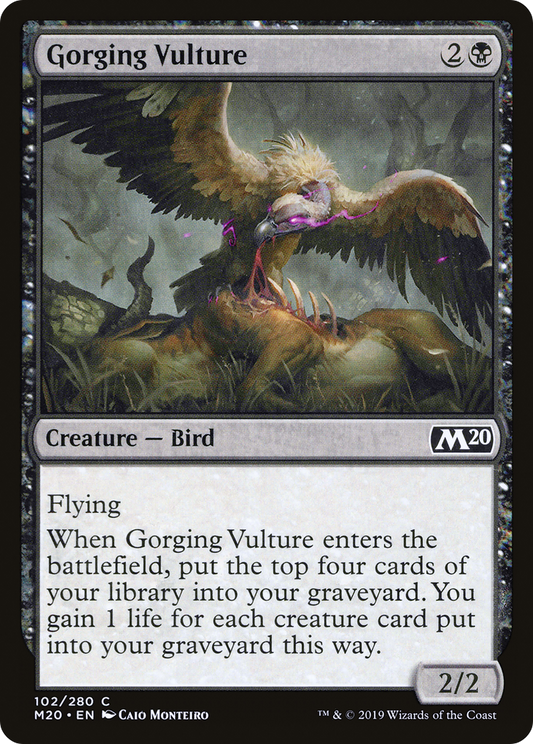 Gorging Vulture (M20-102)