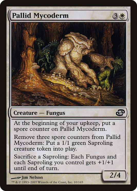 Pallid Mycoderm (PLC-010)