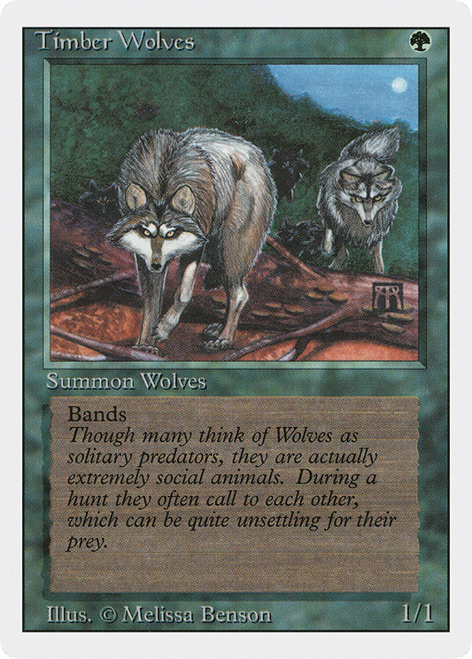 Timber Wolves (3ED-219)