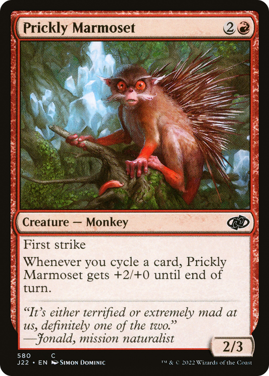 Prickly Marmoset (J22-580)