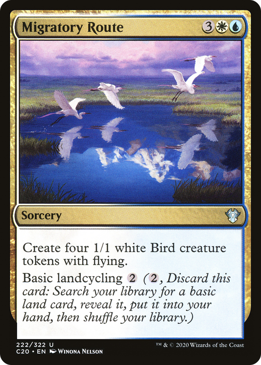 Migratory Route (C20-222)