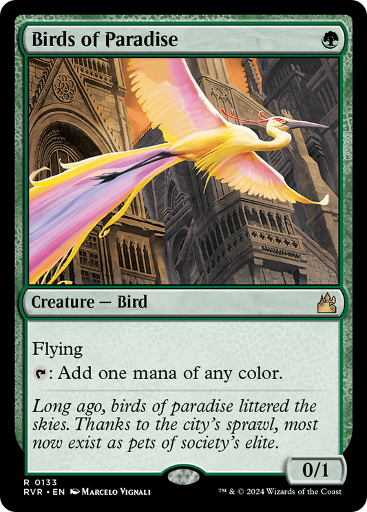 Birds of Paradise (RVR-133)