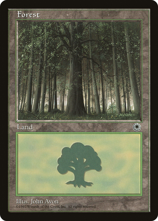 Forest (POR-212)