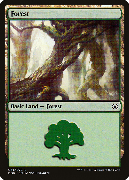 Forest (DDR-031)
