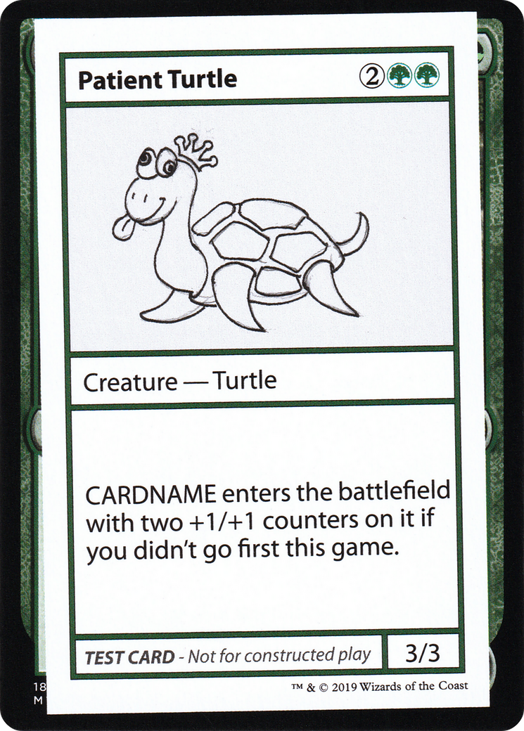 Patient Turtle (CMB1-082)
