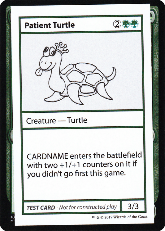 Patient Turtle (CMB1-082)