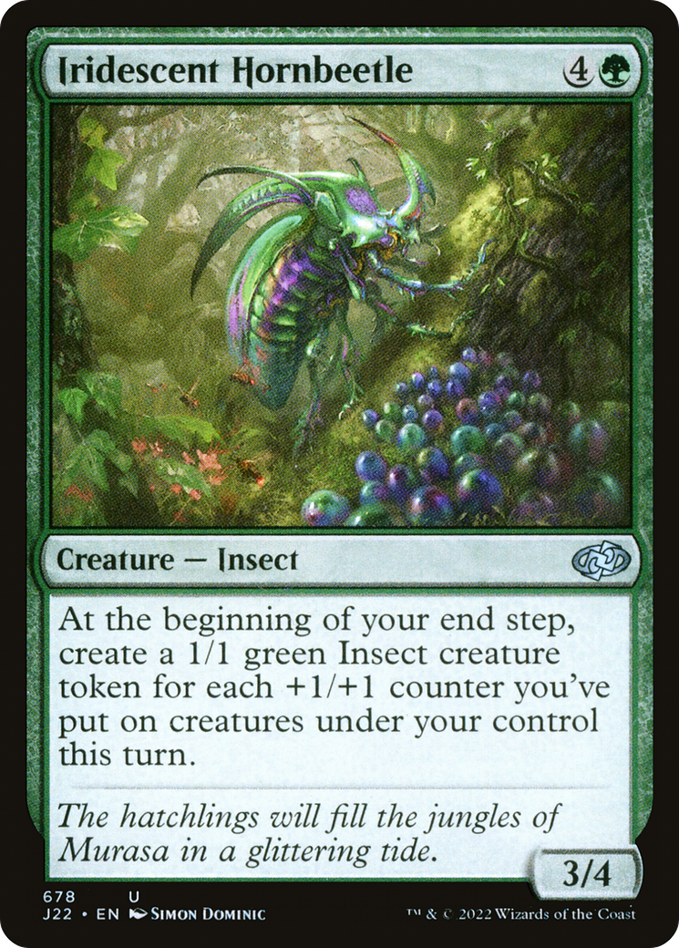 Iridescent Hornbeetle (J22-678)