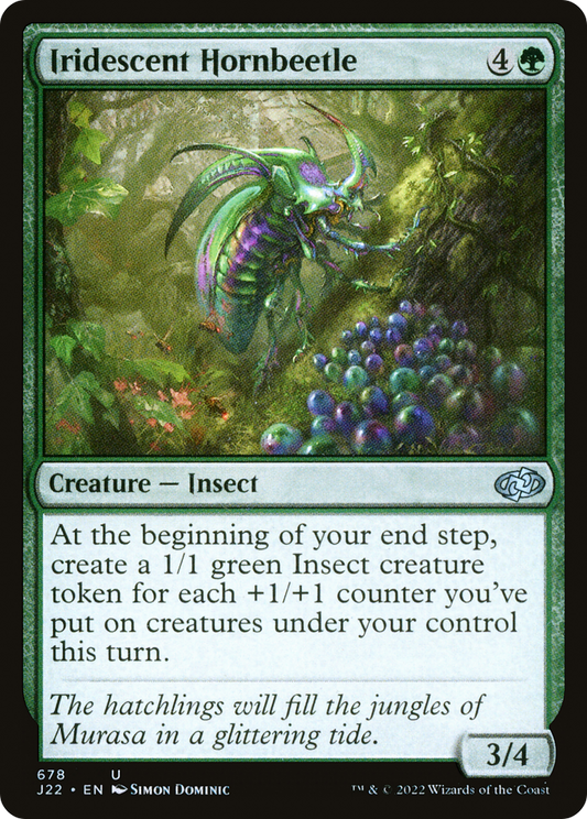 Iridescent Hornbeetle (J22-678)
