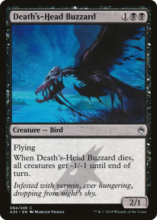Death's-Head Buzzard (A25-084)