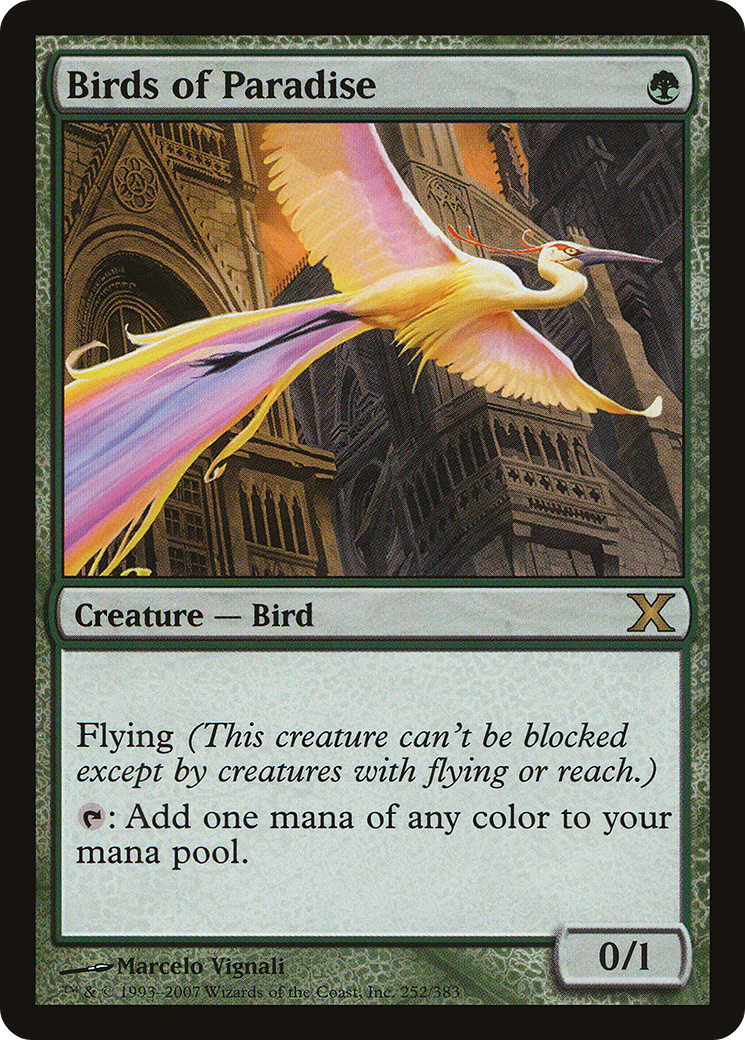 Birds of Paradise (10E-252)