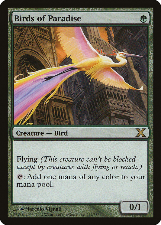 Birds of Paradise (10E-252)
