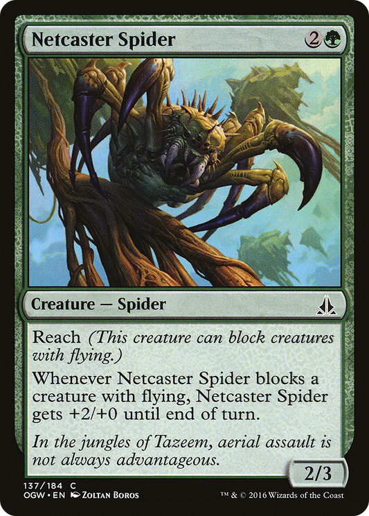 Netcaster Spider (OGW-137)