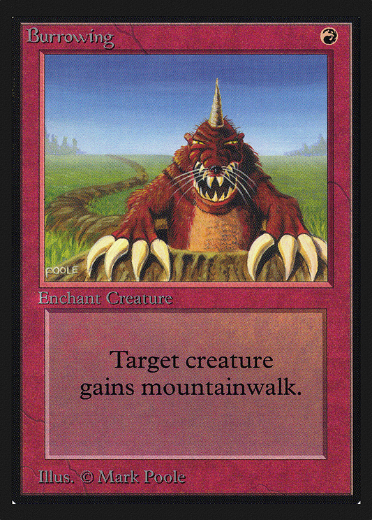 Burrowing (CED-139)