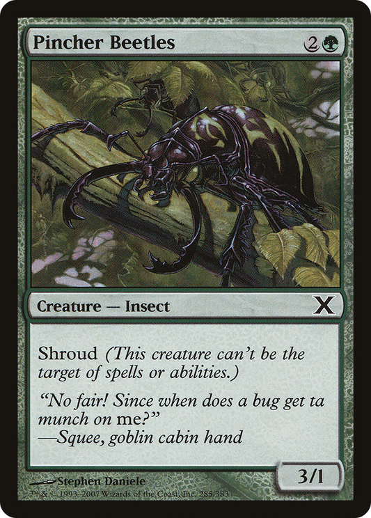 Pincher Beetles (10E-285)