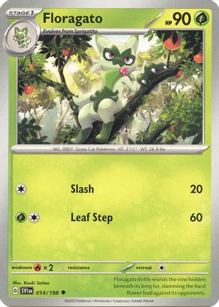 Floragato (SVI-014)