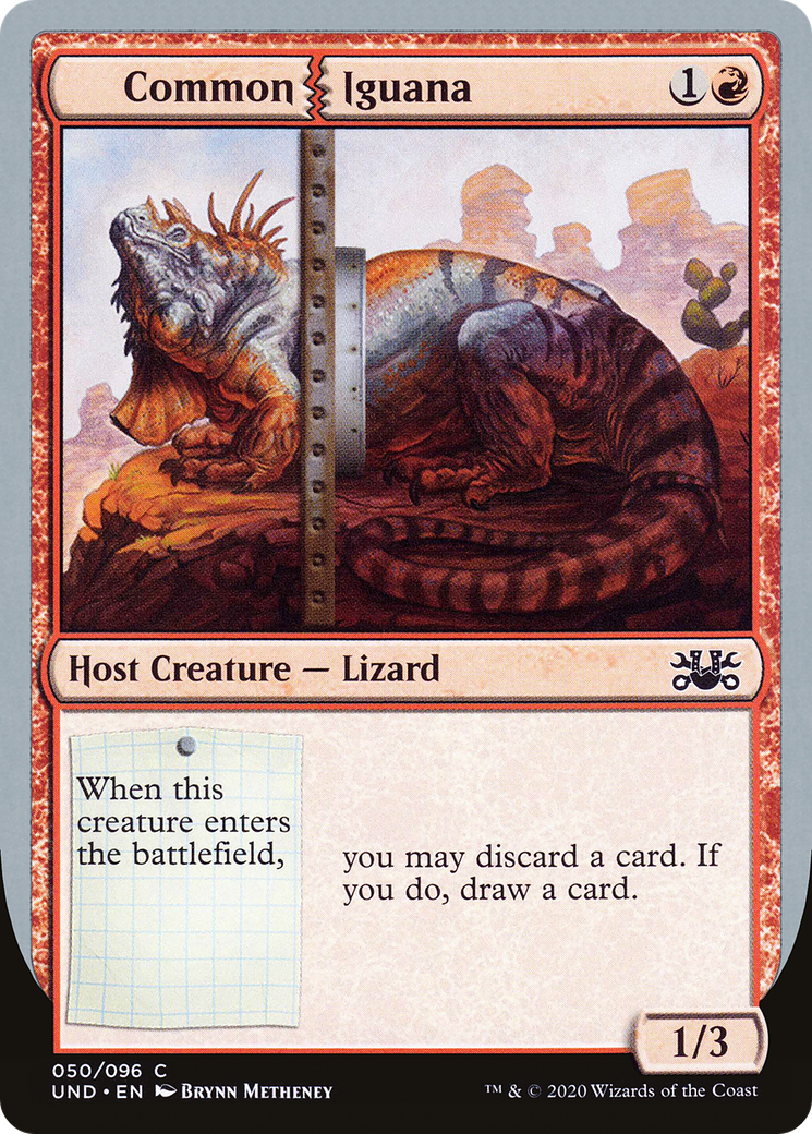 Common Iguana (UND-050)