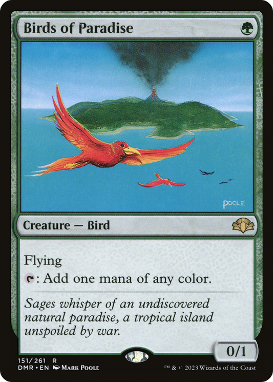 Birds of Paradise (DMR-151)