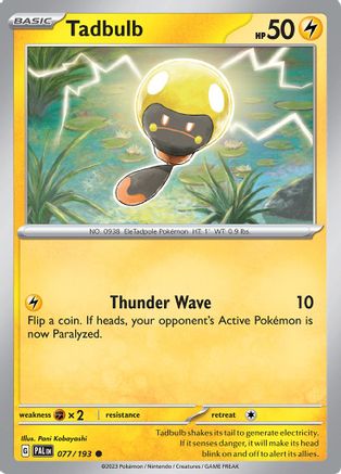 Tadbulb (PAL-077)