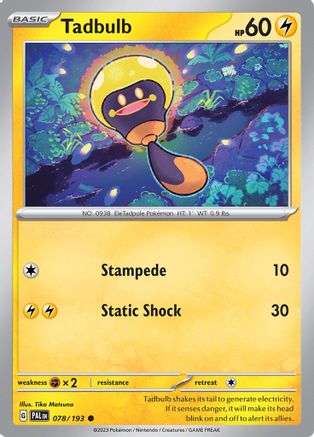 Tadbulb (PAL-078)
