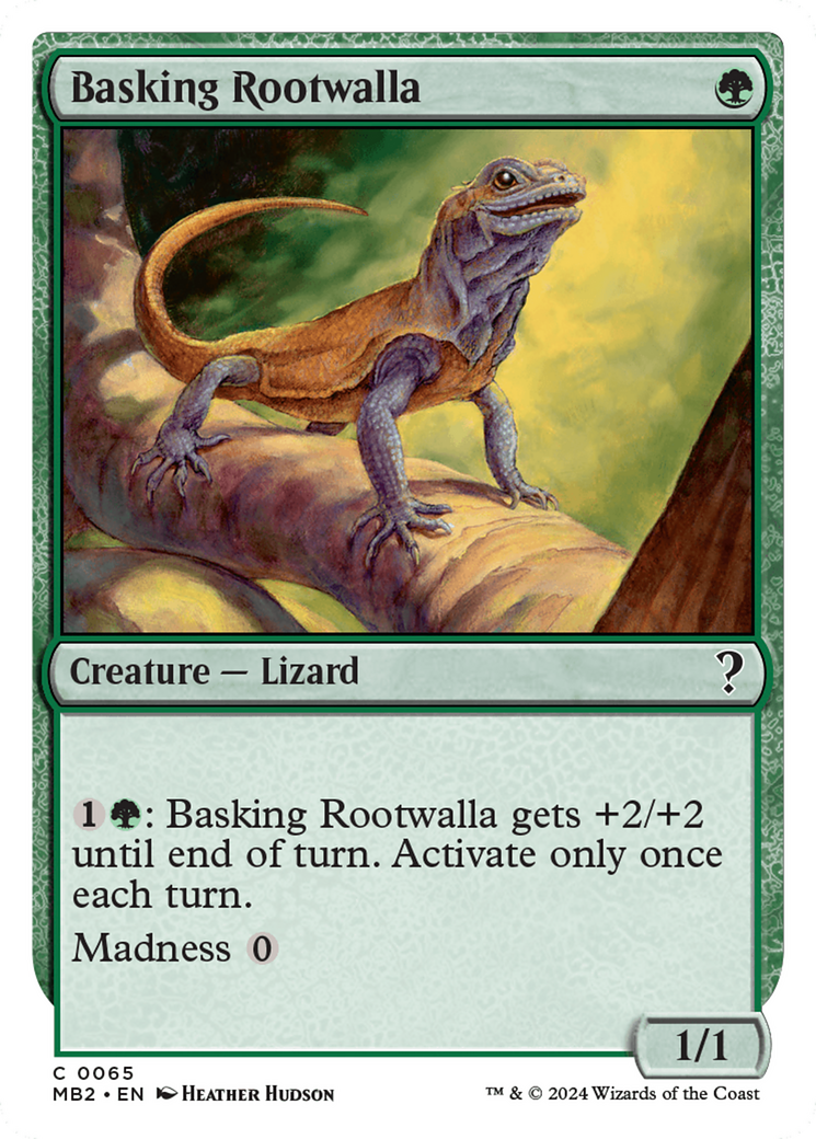 Basking Rootwalla (MB2-065)