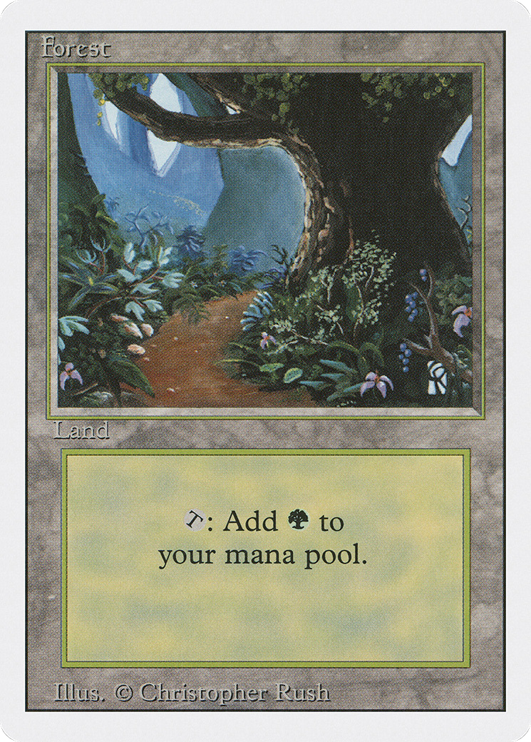 Forest (3ED-305)