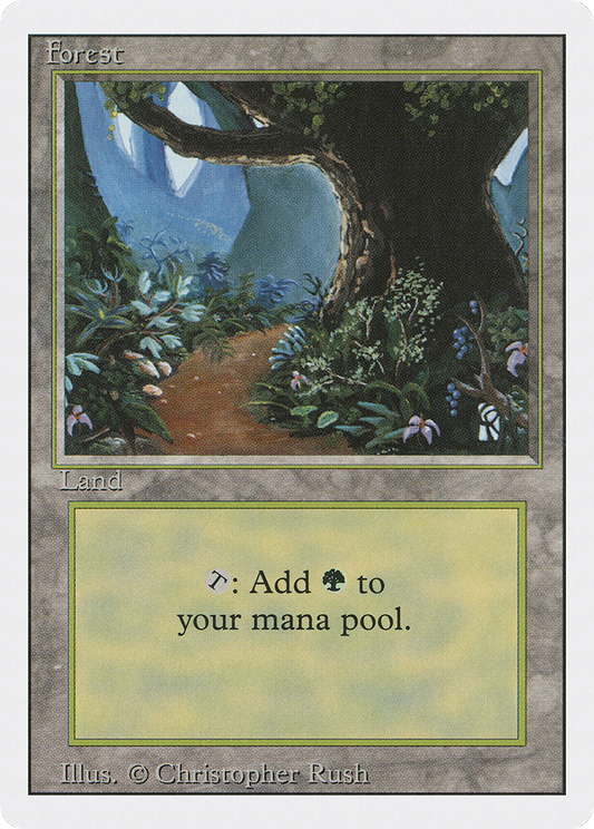 Forest (3ED-305)