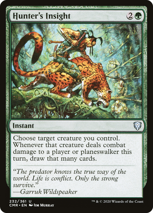 Hunter's Insight (CMR-232) (Foil)