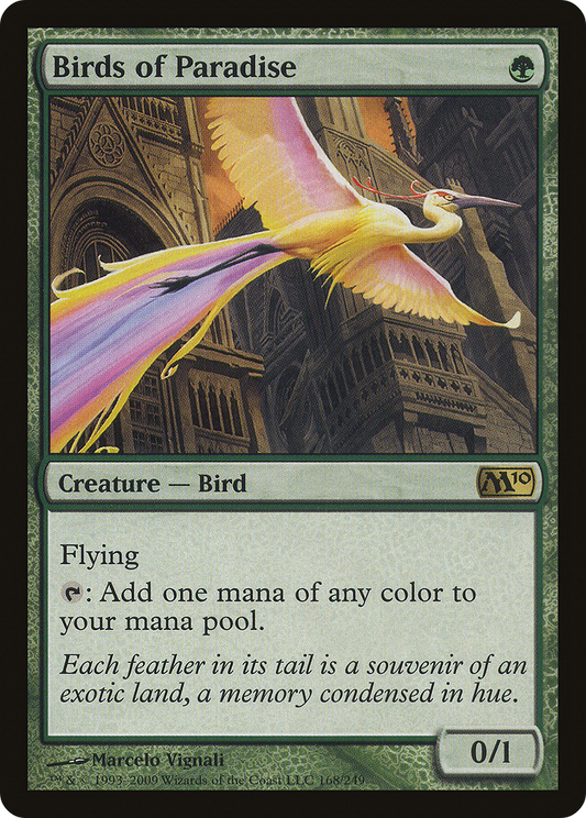 Birds of Paradise (M10-168)