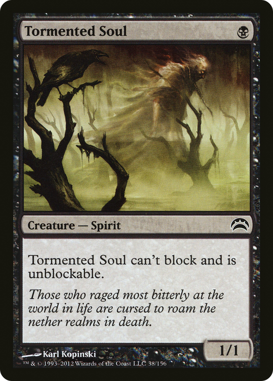 Tormented Soul (PC2-038)