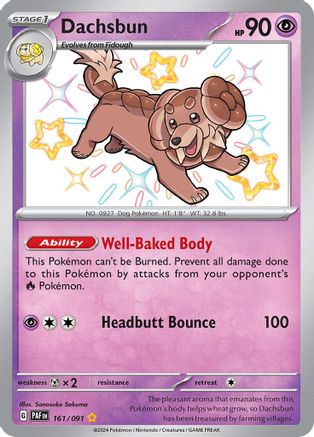 Dachsbun (PAF-161) (Holofoil)