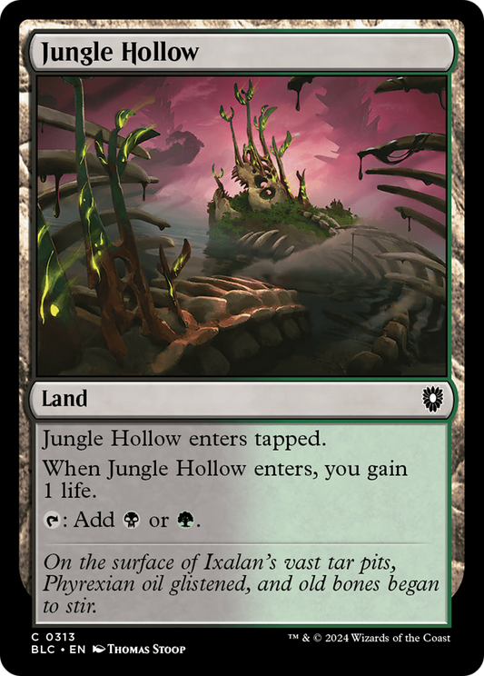 Jungle Hollow (BLC-313)