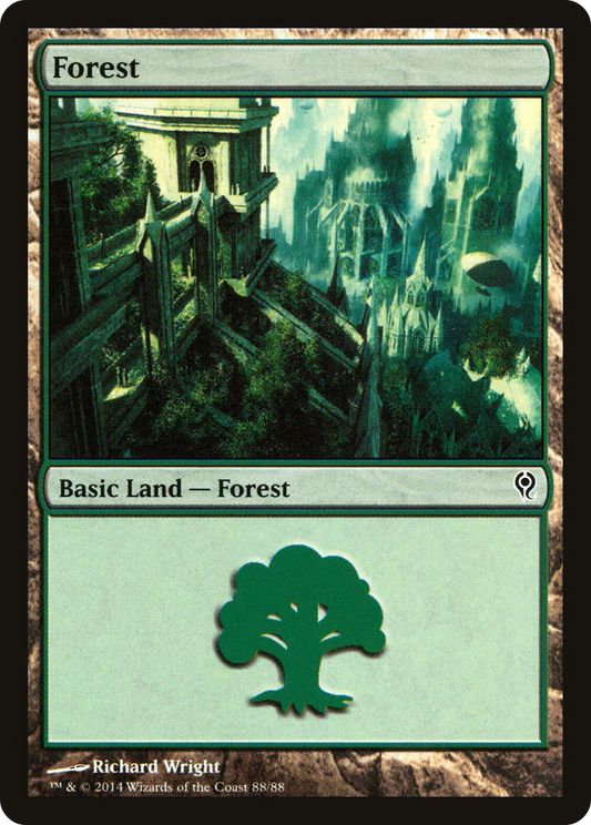 Forest (DDM-088)