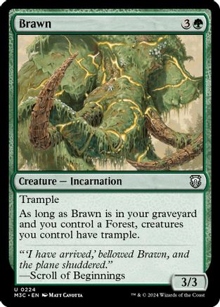 Brawn (Ripple Foil) (M3C-224)